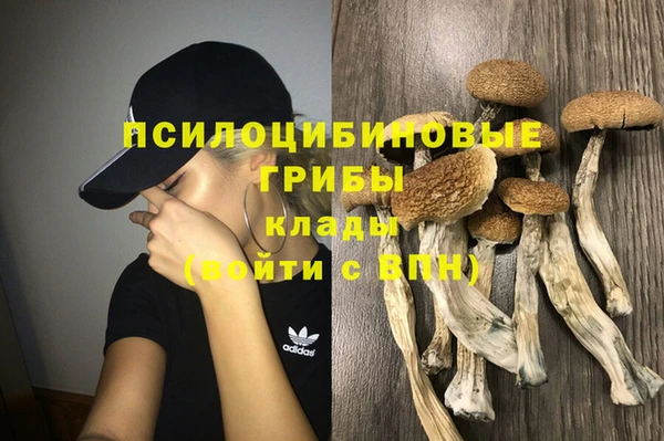гашик Краснотурьинск