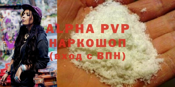 молекула духа Коряжма