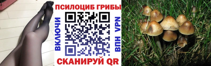 Псилоцибиновые грибы Cubensis  цена   Костерёво 