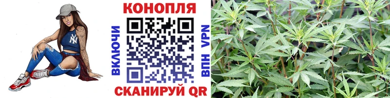 Шишки марихуана Amnesia  Костерёво 